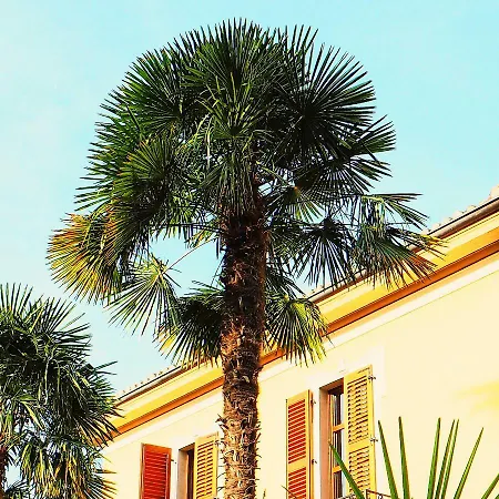 Le Quattro Stagioni Lakeview *