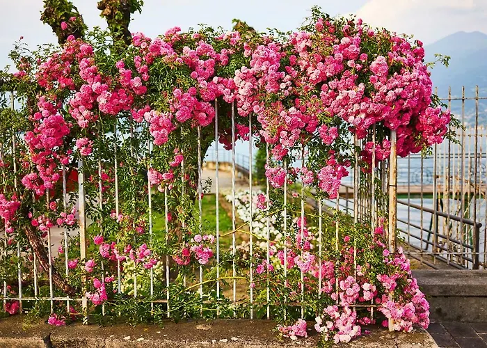 Le Quattro Stagioni Lakeview